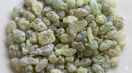 Frankincense: The Resin of Kings