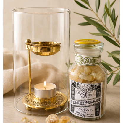 Premium Royal Hojari Boswellia Sacra Resin