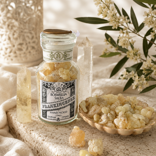 Premium Royal Hojari Boswellia Sacra Resin